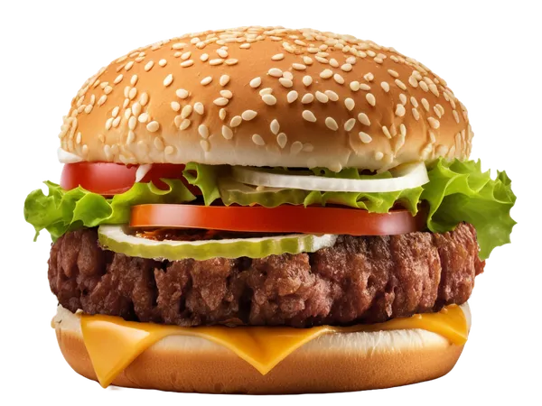 Burger Sabor Carne