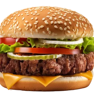 Burger Sabor Carne